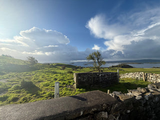 Braving the Fjord: Cosimac Keeps Swimmers Cosi